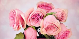 Jak zrobić róże na tort?