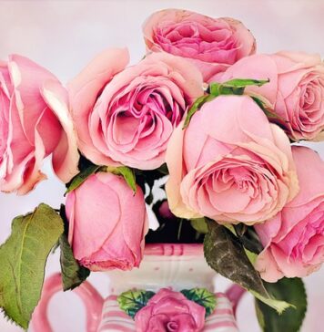 Jak zrobić róże na tort?