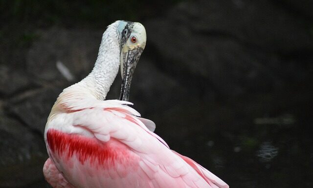 Jak wygładzić włosy po nocy?