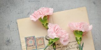 Jak wysłać alkohol poczta?