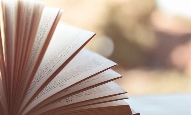 Czy polecacie stronę ETUO?