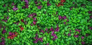 Jak pozować w stroju kąpielowym?