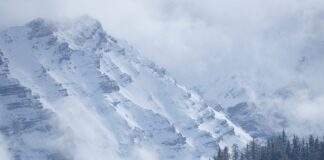 Ile kosztuje przegląd zegarka mechanicznego?