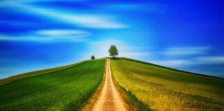 Czy chodzenie w Crocsach jest zdrowe?