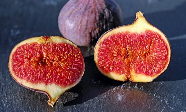 Jak wygląda jak wygląda tchórz? Jak wygląda jak wygląda tchórz?