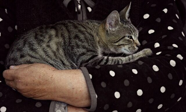 Jakie futra są modne?