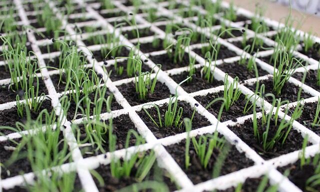 Czy twarz się zmienia w ciąży?