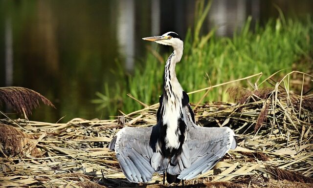 Dlaczego trzeba suszyć włosy przed snem? Dlaczego trzeba suszyć włosy przed snem?