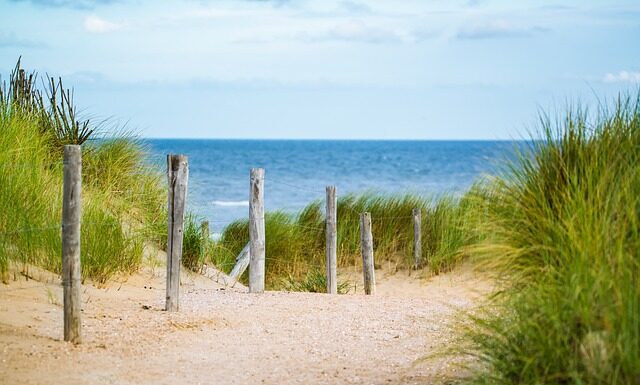 Jak się nazywa cienki jedwab? Jak się nazywa cienki jedwab?