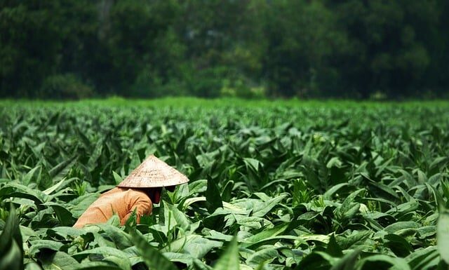 Co oznaczają dodatkowe tarcze na zegarku? Co oznaczają dodatkowe tarcze na zegarku?