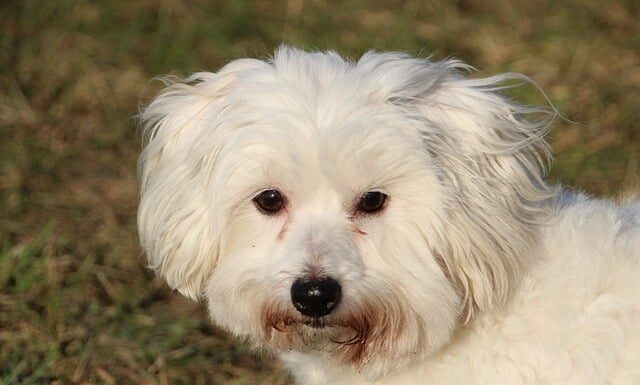 Z czym łączyć tiulową spódnicę?