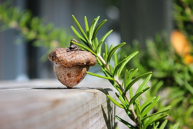 Jakie glany najlepiej kupić na początek? Jakie glany najlepiej kupić na początek?