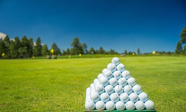 Z jakiego materiału golf? Z jakiego materiału golf?