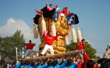 Jaki silnik ma Kubota?