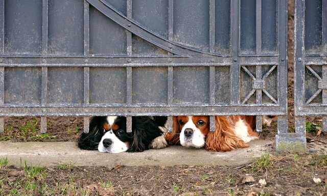 Czemu but pierdzi? Czemu but pierdzi?