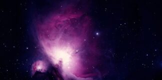 Co pasuje do czarnych włosów?