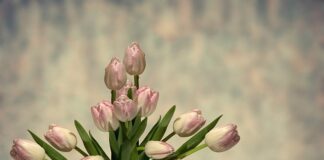 Do czego służy suchą gąbką florystyczna?